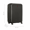 Flyn Large Hardside Luggage PP/ABS Black