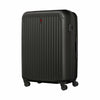 Flyn Large Hardside Luggage PP/ABS Black