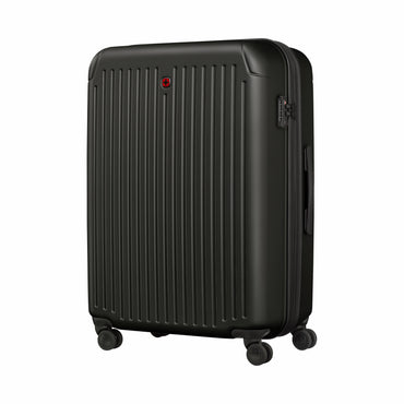 Flyn Large Hardside Luggage PP/ABS Black