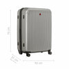 Flyn Large Hardside Luggage PC/ABS Silver