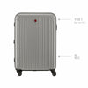 Flyn Large Hardside Luggage PC/ABS Silver