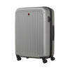 Flyn Large Hardside Luggage PC/ABS Silver