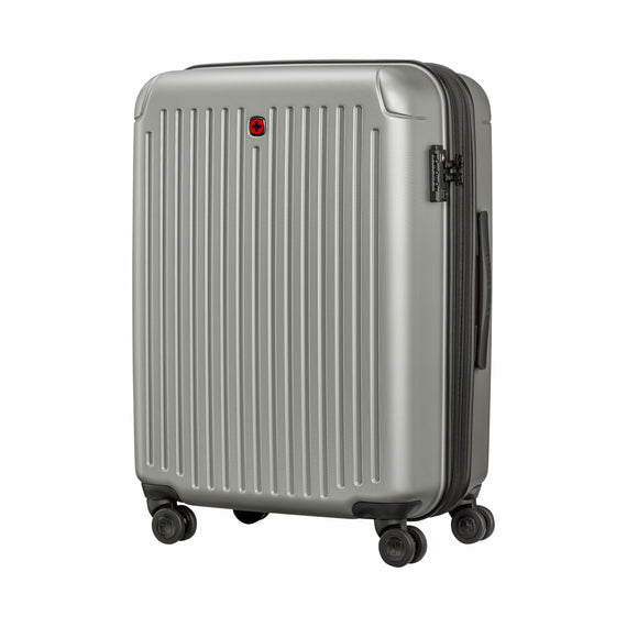 Flyn Medium Hardside Luggage PC/ABS Silver