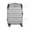 Static-Pro Medium Hardside Luggage ABS Grey