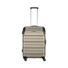 Static Medium Hardside Luggage ABS Gold